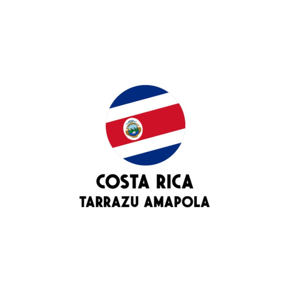 Costa Rica Tarrazu Amapola